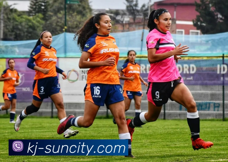 辅助工具 辅助工具